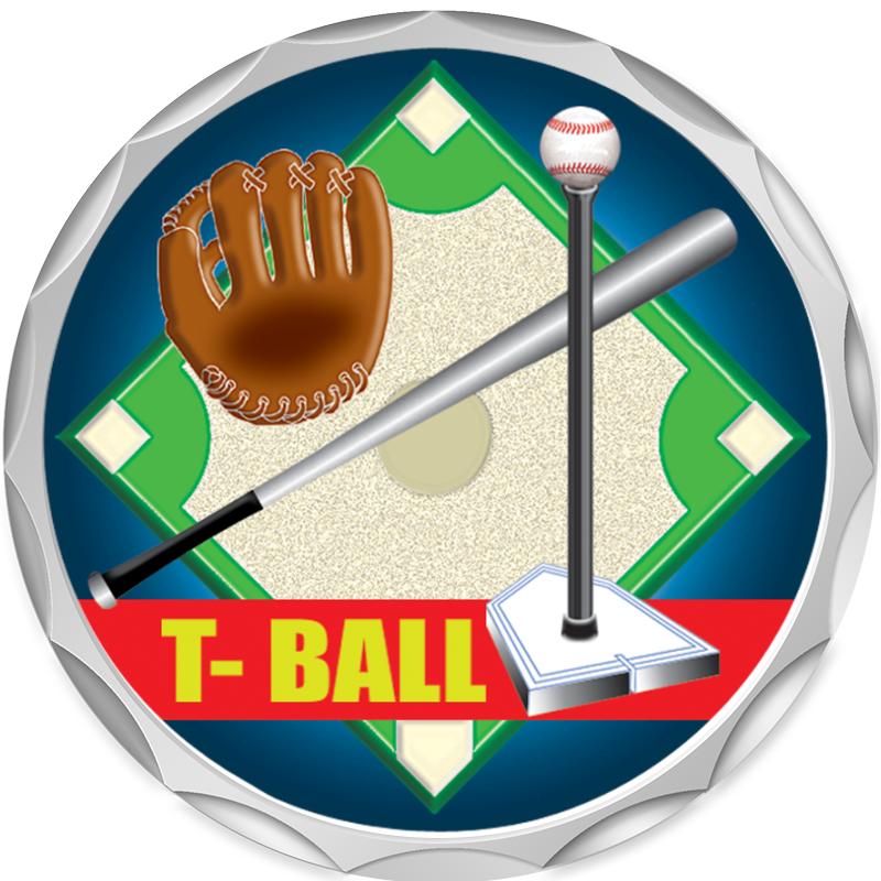 2.2" SILVER BUTTON INSERT PIN