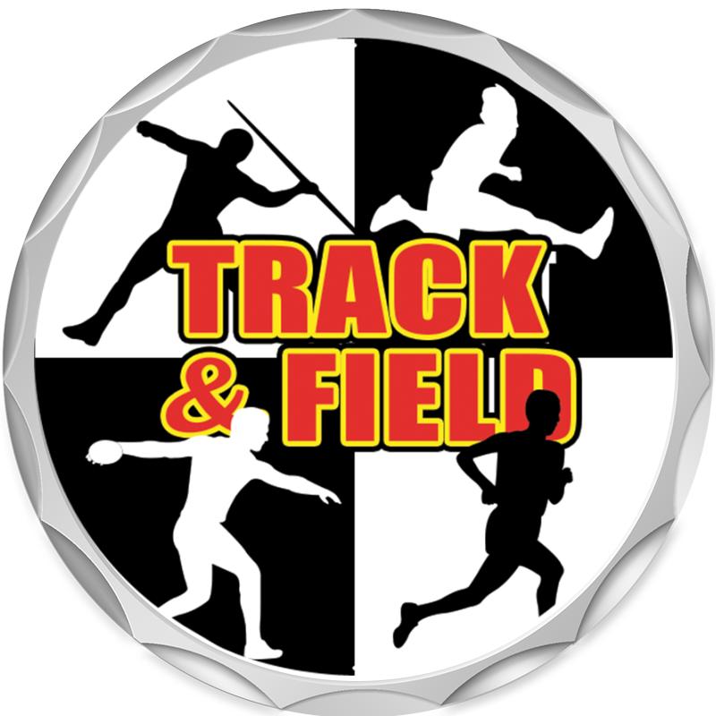 2.2" SILVER BUTTON INSERT PIN