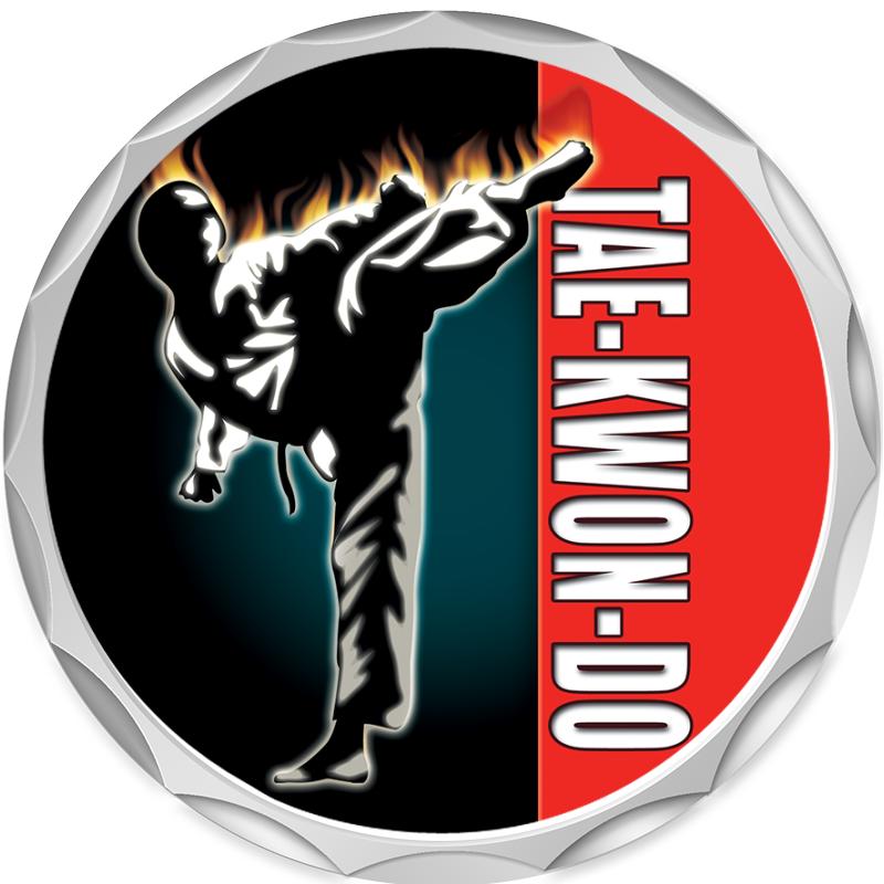 2.2" SILVER BUTTON INSERT PIN