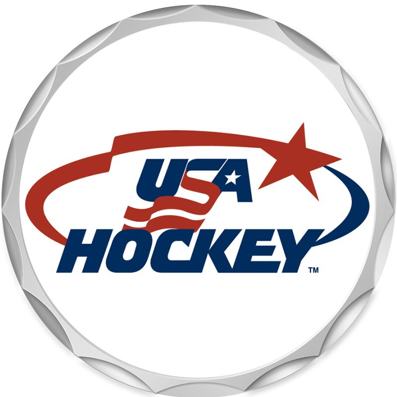 2.2" SILVER BUTTON INSERT PIN