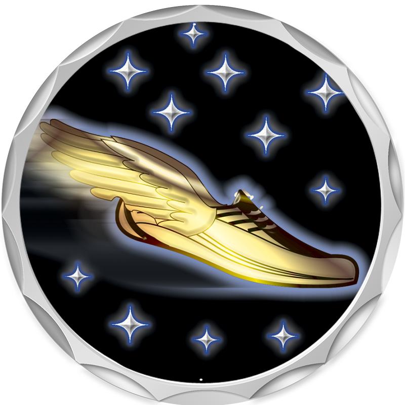 2.2" SILVER BUTTON INSERT PIN