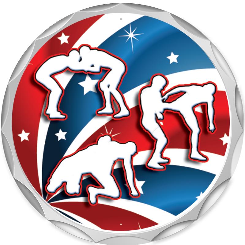 2.2" SILVER BUTTON INSERT PIN