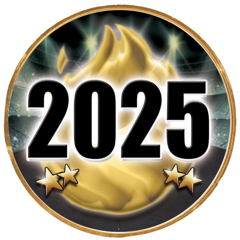 2"Wx2"H INSERT BUTTON PIN