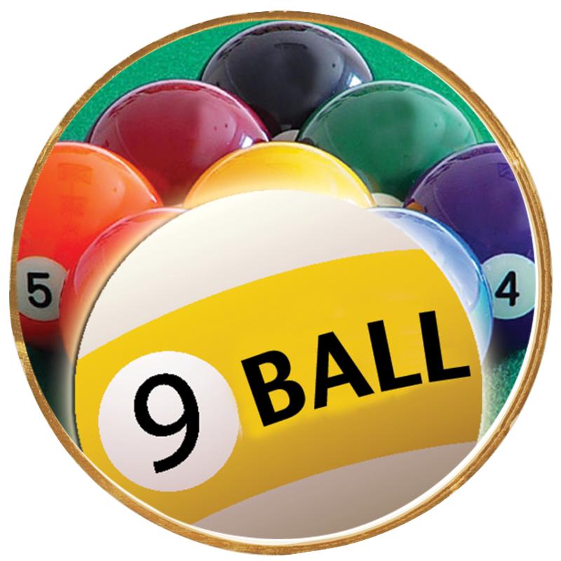 2"Wx2"H INSERT BUTTON PIN