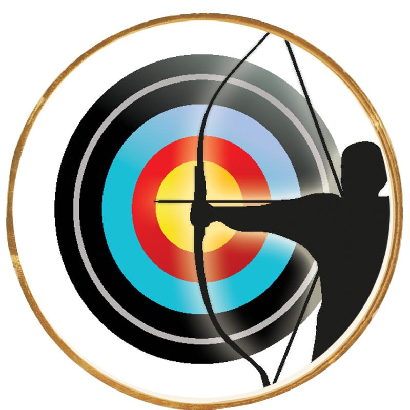 Pin on Archery Arrows