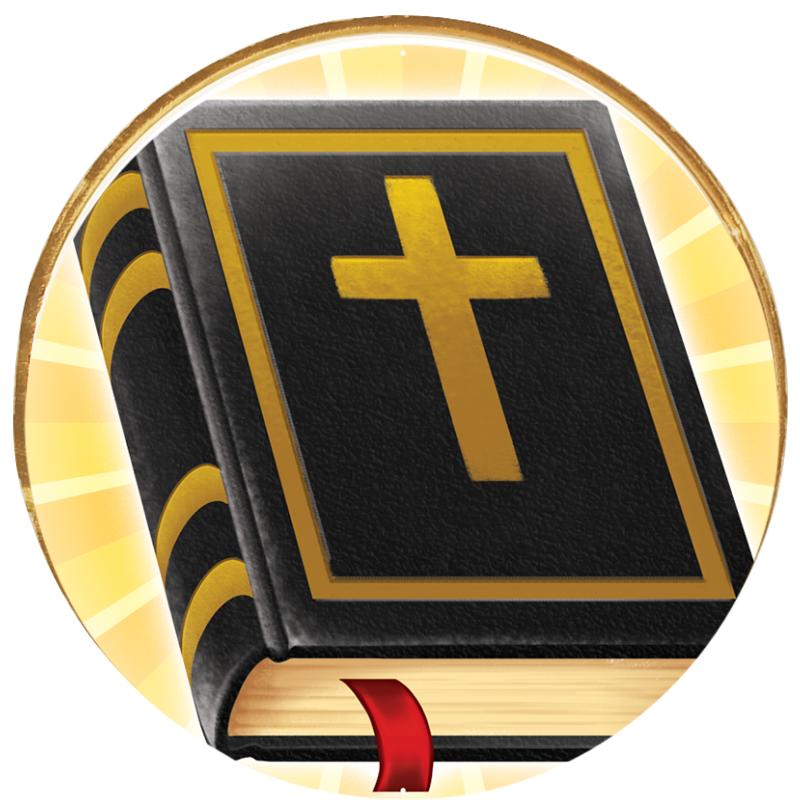 2"Wx2"H INSERT BUTTON PIN