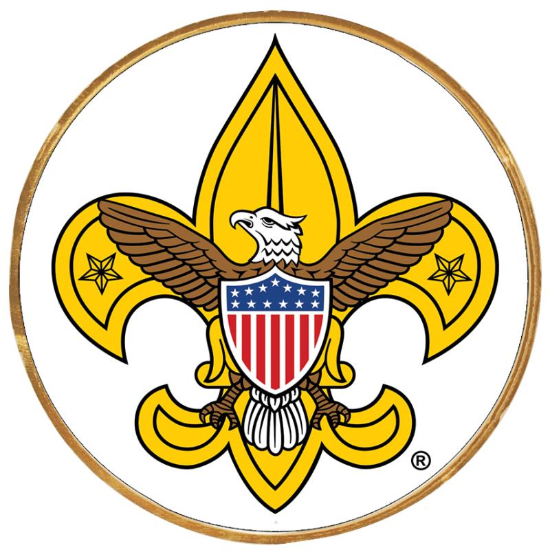 2"Wx2"H INSERT BUTTON PIN