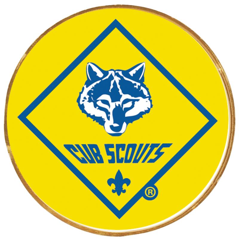 2"Wx2"H INSERT BUTTON PIN