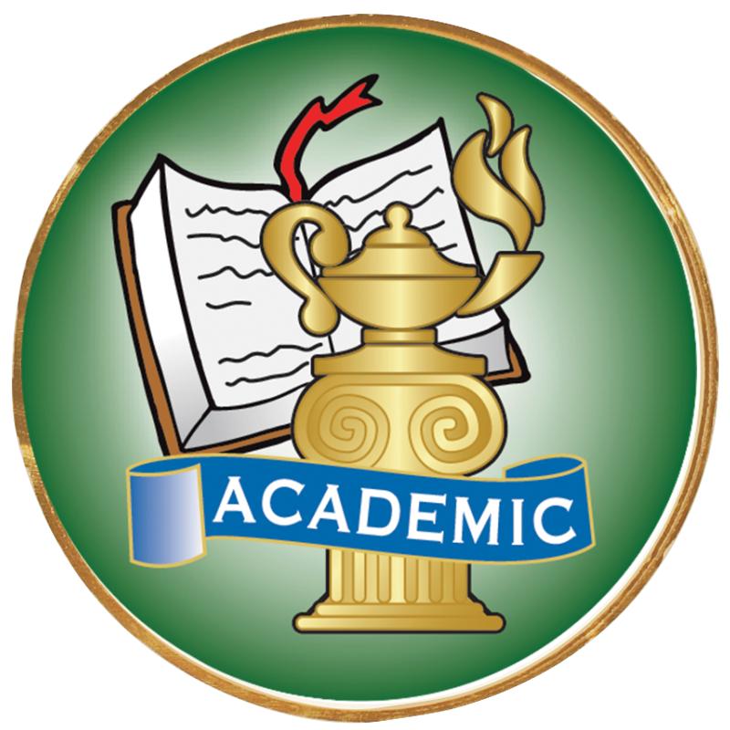 2"Wx2"H INSERT BUTTON PIN