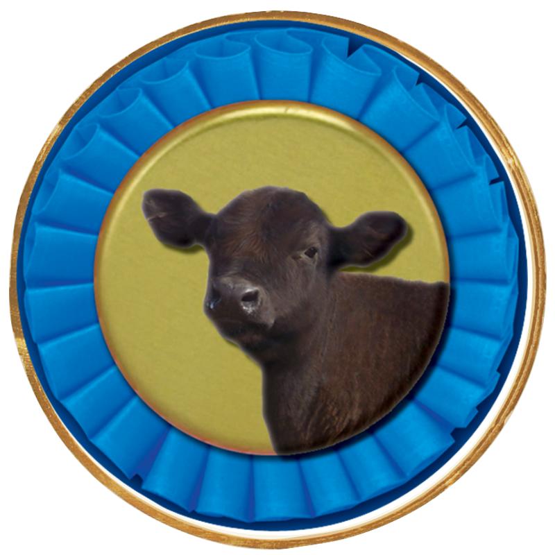 2"Wx2"H INSERT BUTTON PIN