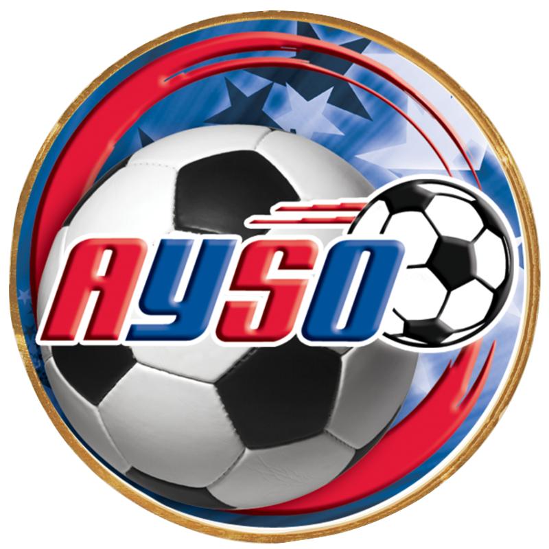 2"Wx2"H INSERT BUTTON PIN