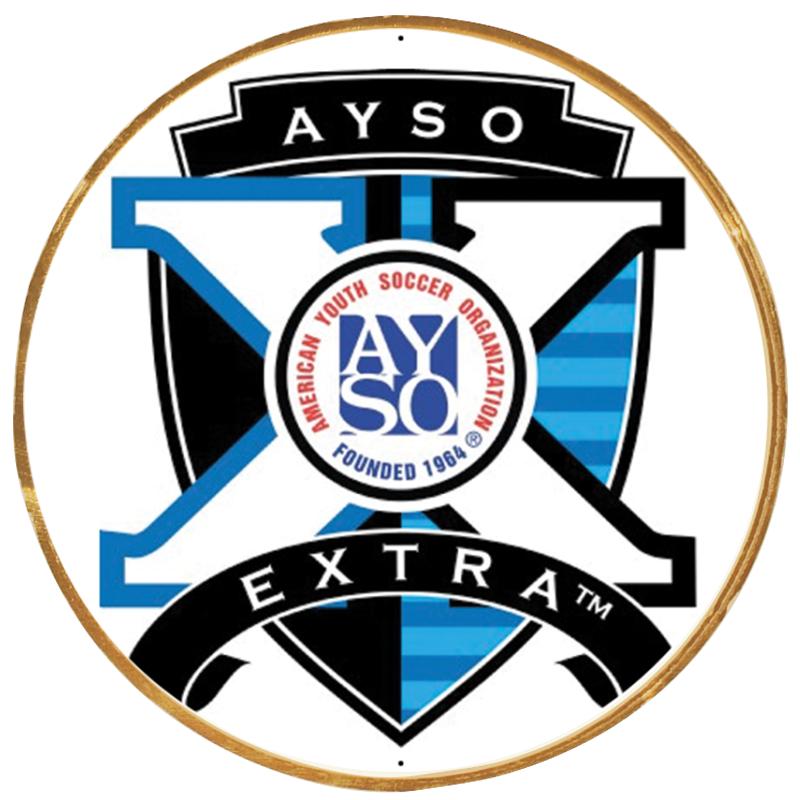 2"Wx2"H INSERT BUTTON PIN