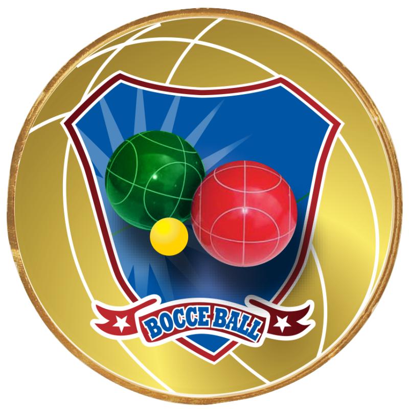 2"Wx2"H INSERT BUTTON PIN