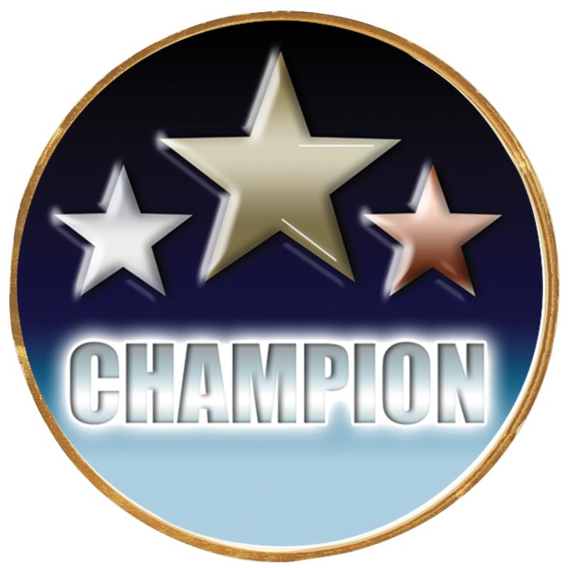 2"Wx2"H INSERT BUTTON PIN