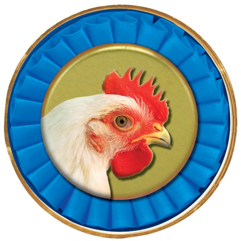 2"Wx2"H INSERT BUTTON PIN