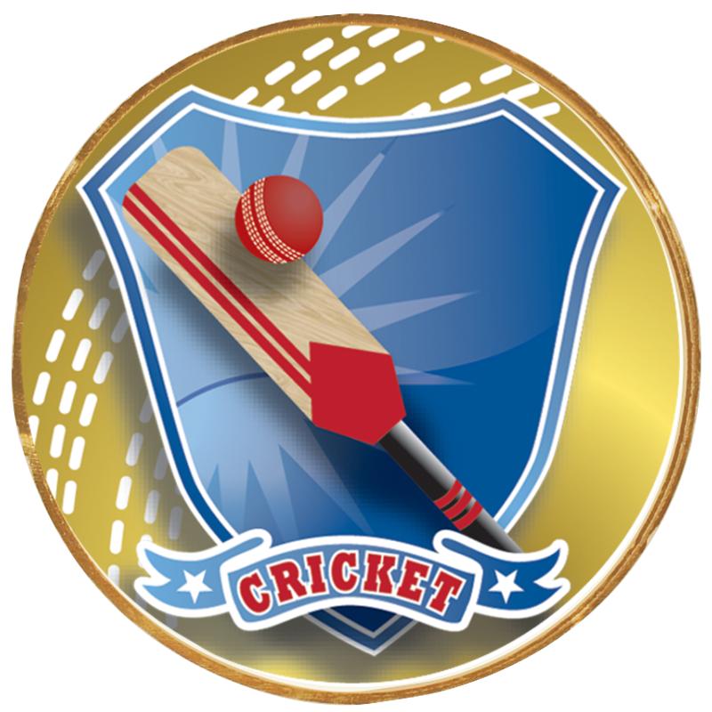 2"Wx2"H INSERT BUTTON PIN