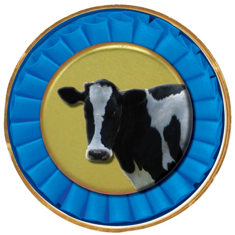 2"Wx2"H INSERT BUTTON PIN