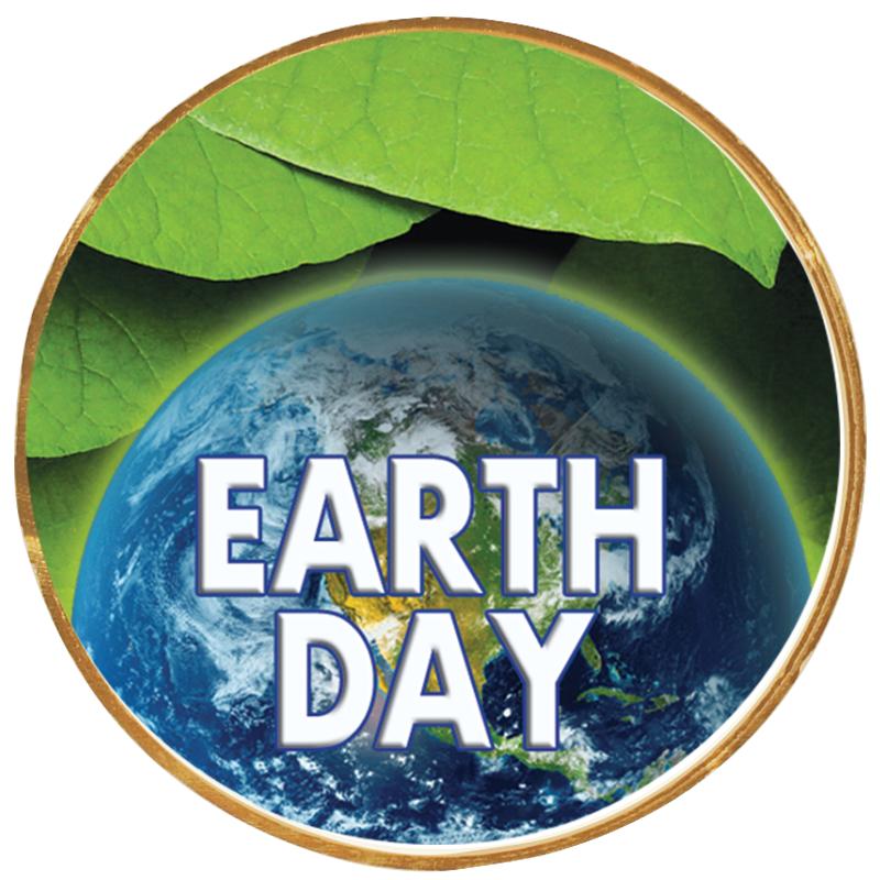 2"Wx2"H INSERT BUTTON PIN