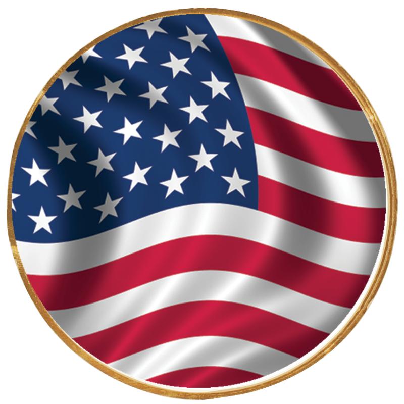 2"Wx2"H INSERT BUTTON PIN