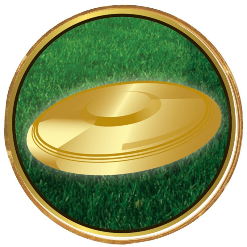 2"Wx2"H INSERT BUTTON PIN