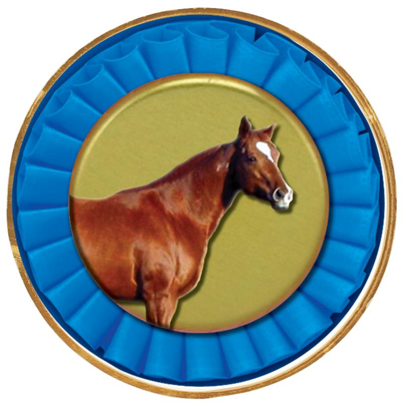 2"Wx2"H INSERT BUTTON PIN