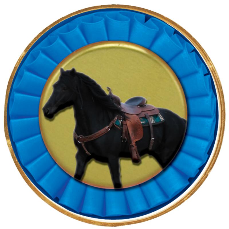 2"Wx2"H INSERT BUTTON PIN