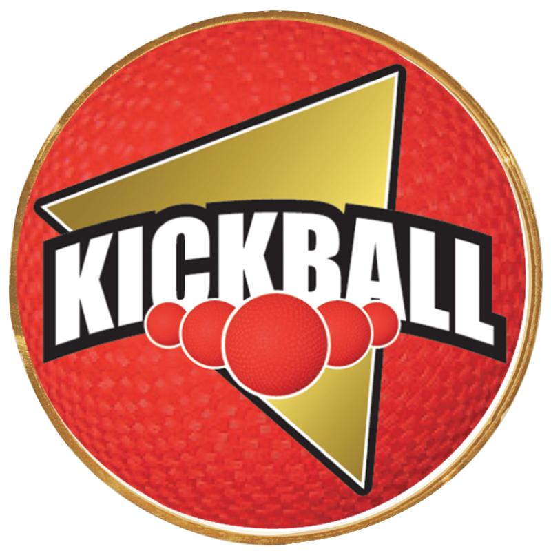 2"Wx2"H INSERT BUTTON PIN