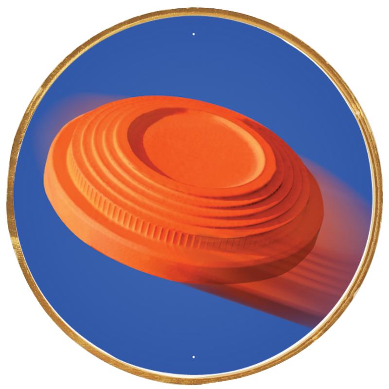 2"Wx2"H INSERT BUTTON PIN