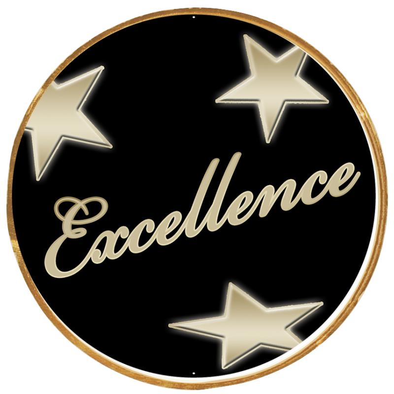 2"Wx2"H INSERT BUTTON PIN