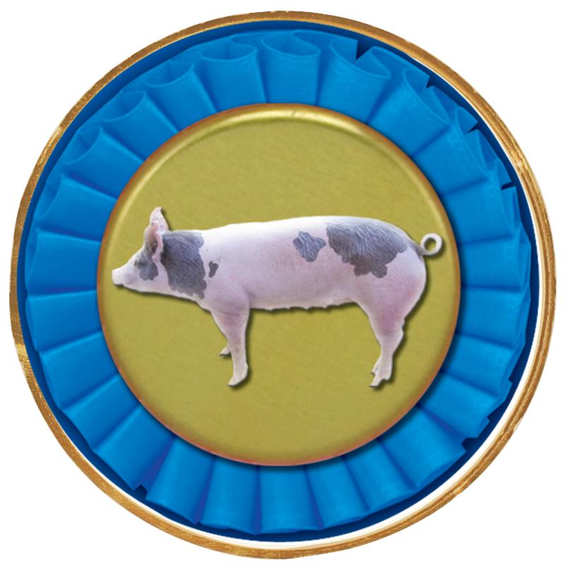 2"Wx2"H INSERT BUTTON PIN