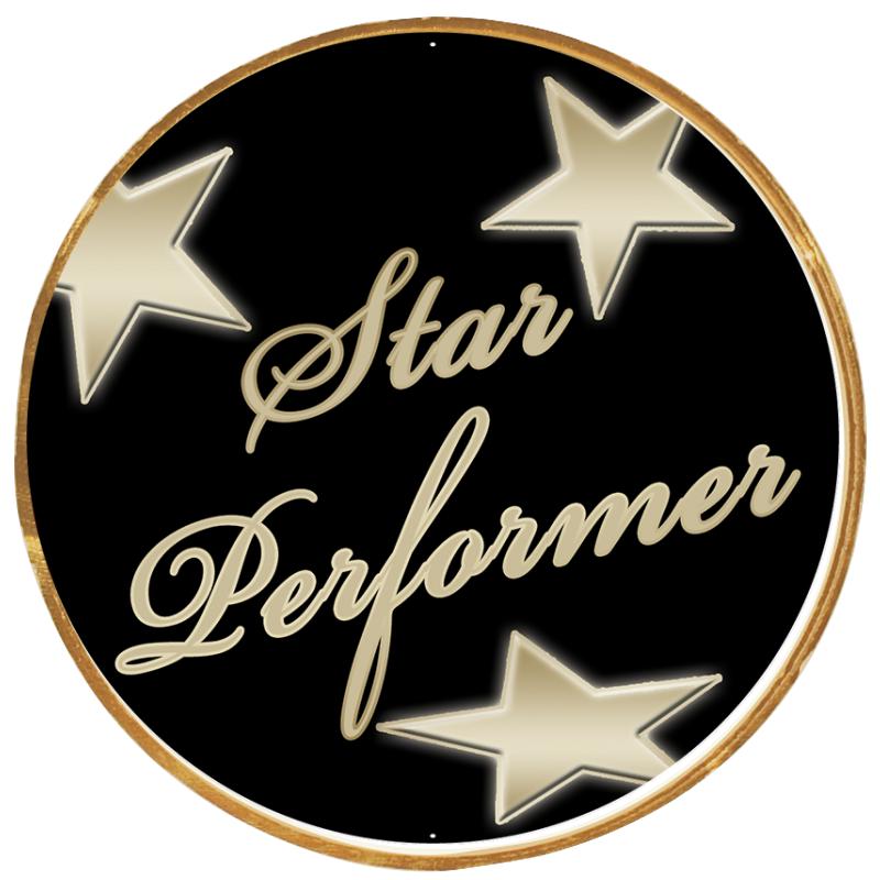 2"Wx2"H INSERT BUTTON PIN