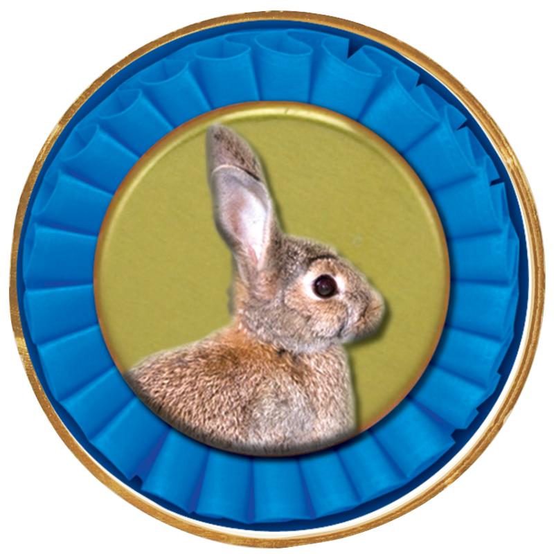 2"Wx2"H INSERT BUTTON PIN