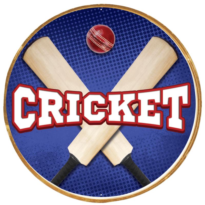 2"Wx2"H INSERT BUTTON PIN