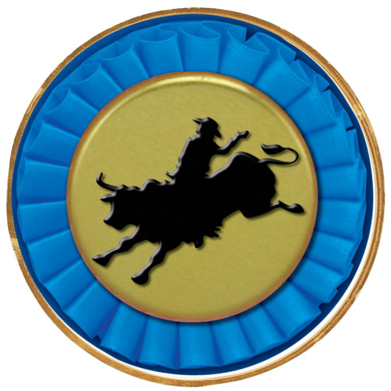 2"Wx2"H INSERT BUTTON PIN