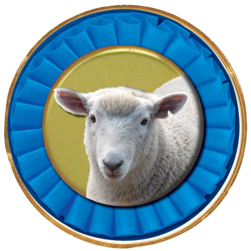 2"Wx2"H INSERT BUTTON PIN