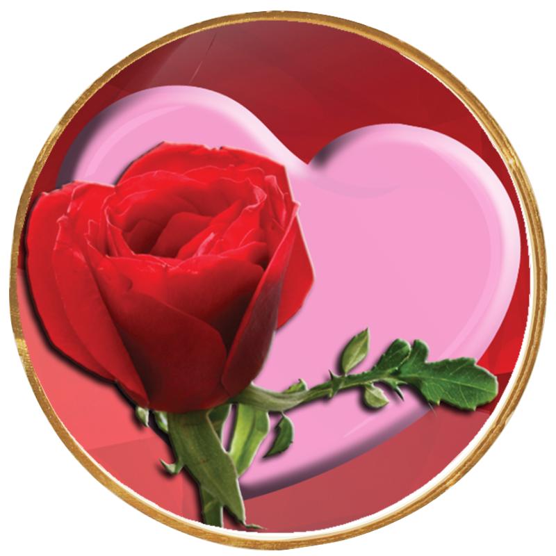 2"Wx2"H INSERT BUTTON PIN