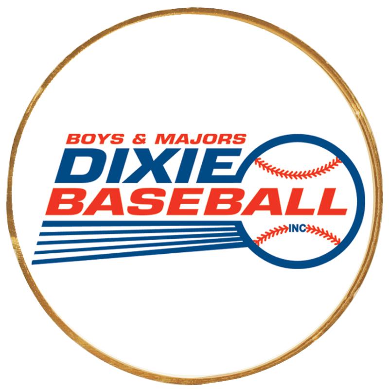 2"Wx2"H INSERT BUTTON PIN