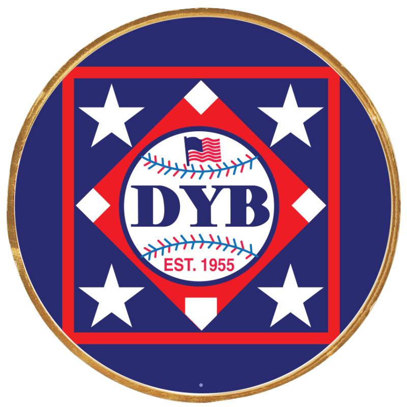 2"Wx2"H INSERT BUTTON PIN