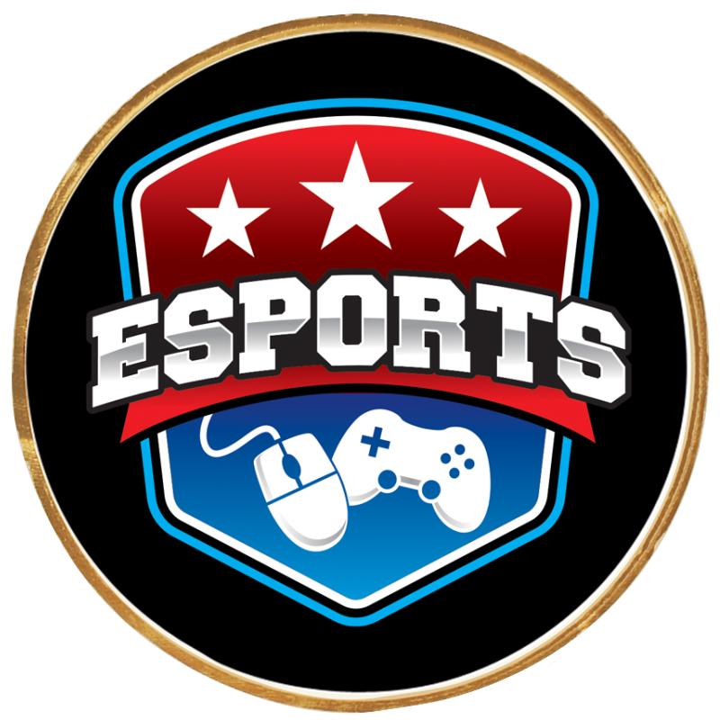 2"Wx2"H INSERT BUTTON PIN