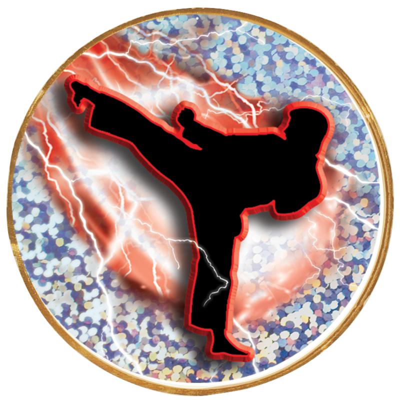 2"Wx2"H INSERT BUTTON PIN