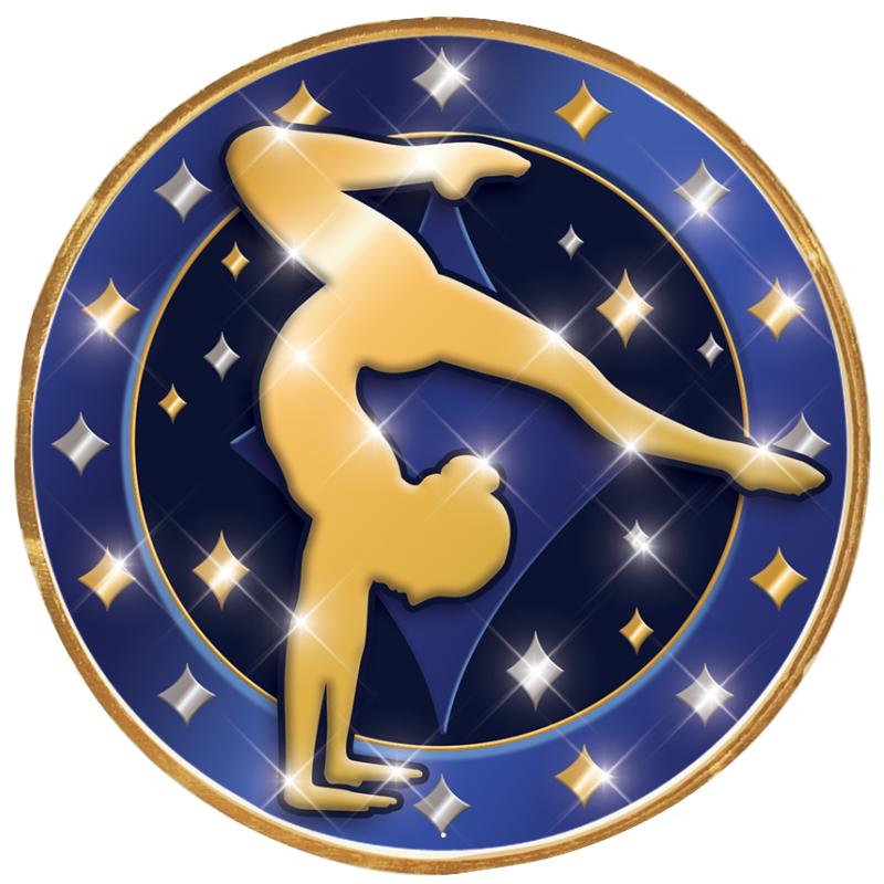 2"Wx2"H INSERT BUTTON PIN