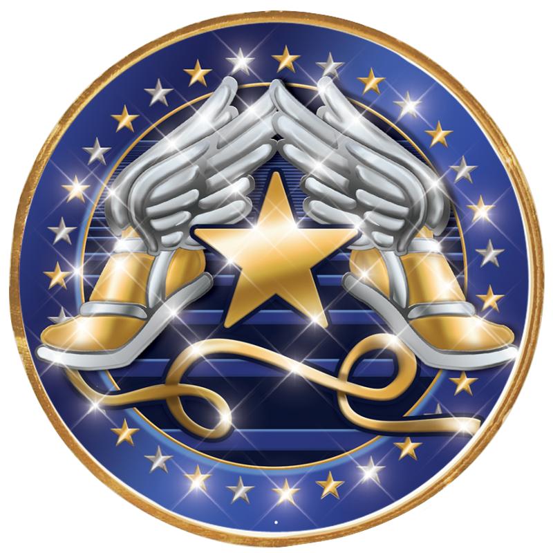 2"Wx2"H INSERT BUTTON PIN