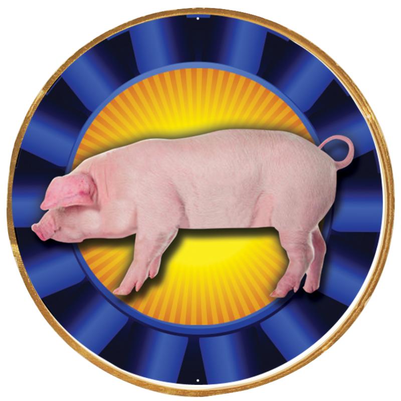 2"Wx2"H INSERT BUTTON PIN