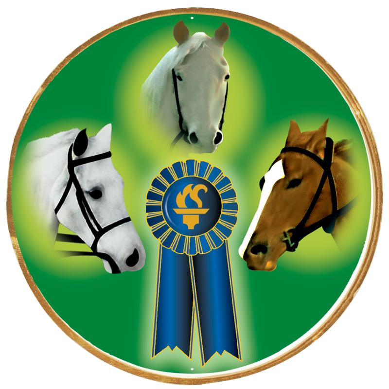 2"Wx2"H INSERT BUTTON PIN