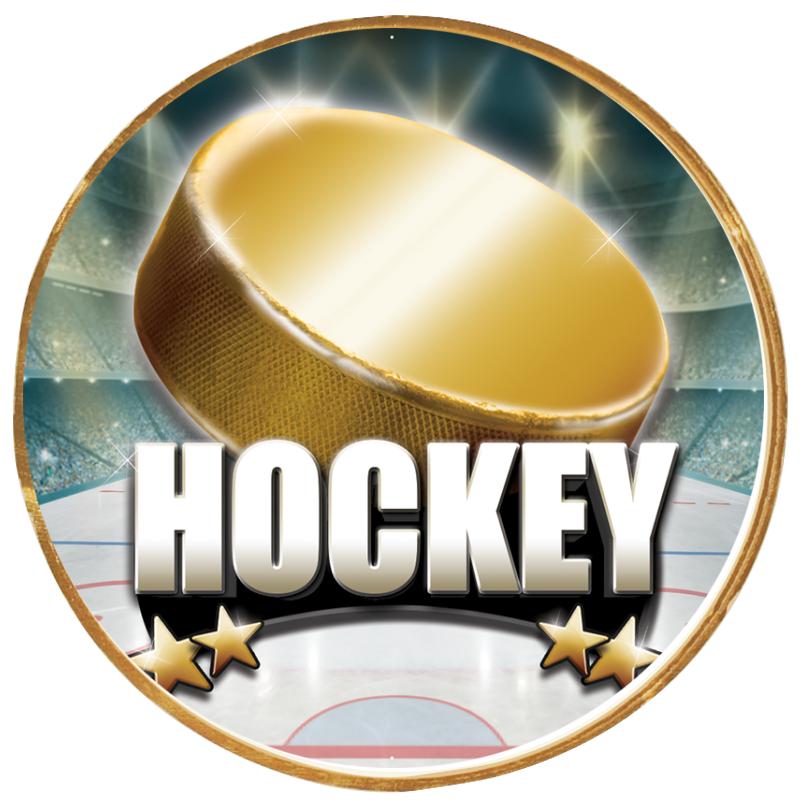 2"Wx2"H INSERT BUTTON PIN