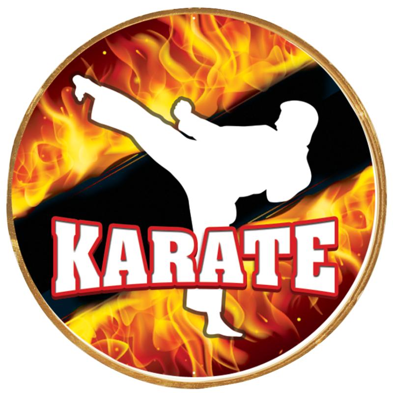 2"Wx2"H INSERT BUTTON PIN