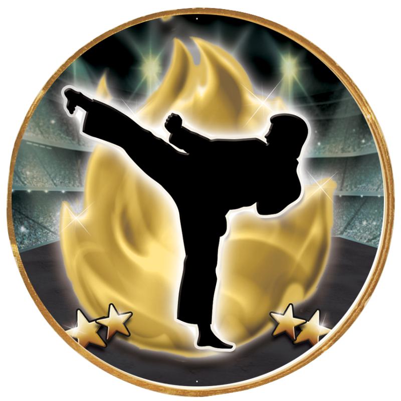 2"Wx2"H INSERT BUTTON PIN