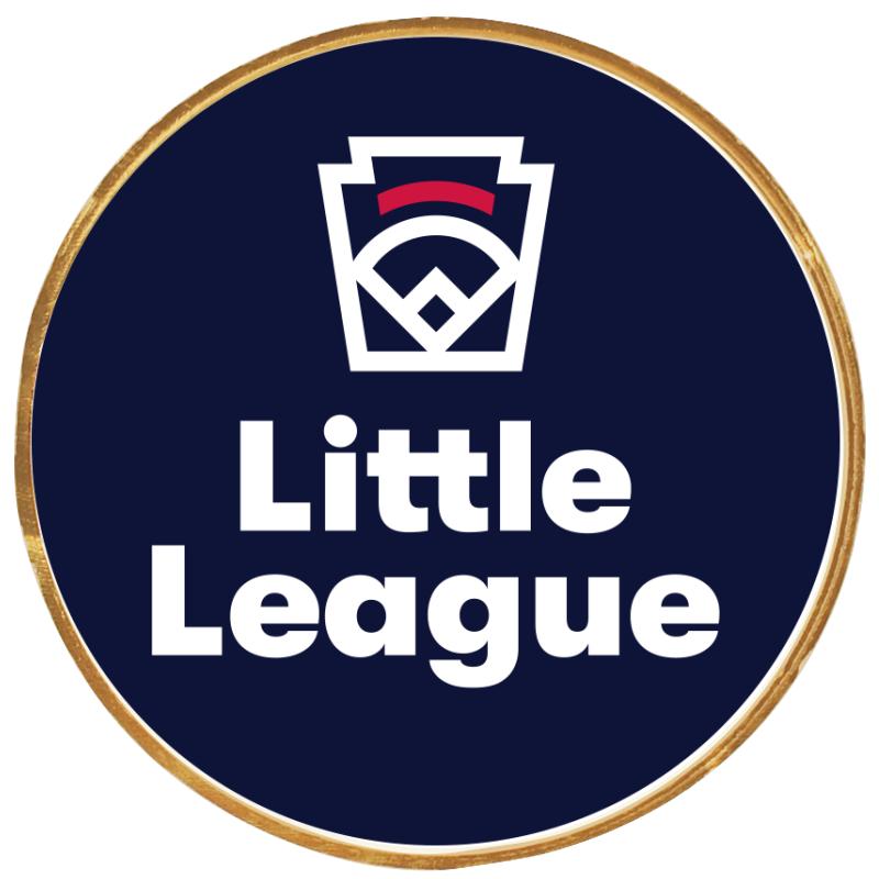 2"Wx2"H INSERT BUTTON PIN