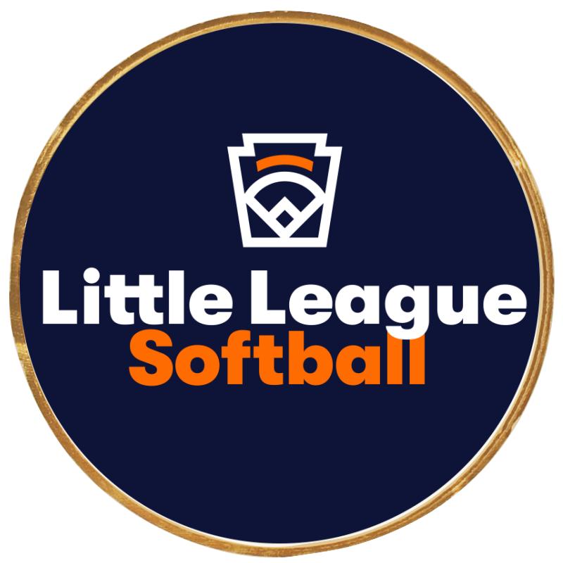 2"Wx2"H INSERT BUTTON PIN