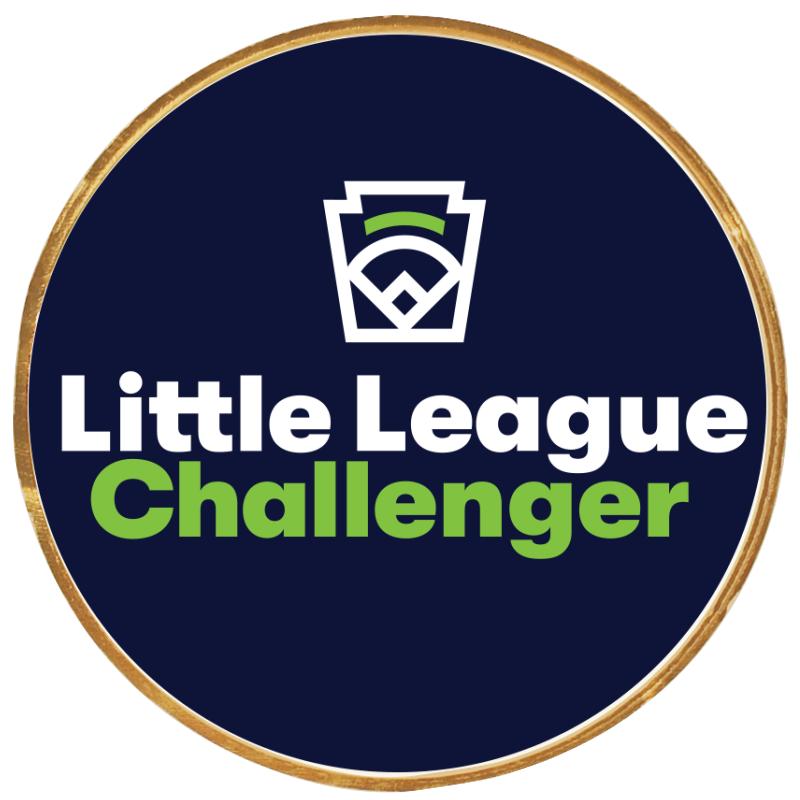 2"Wx2"H INSERT BUTTON PIN